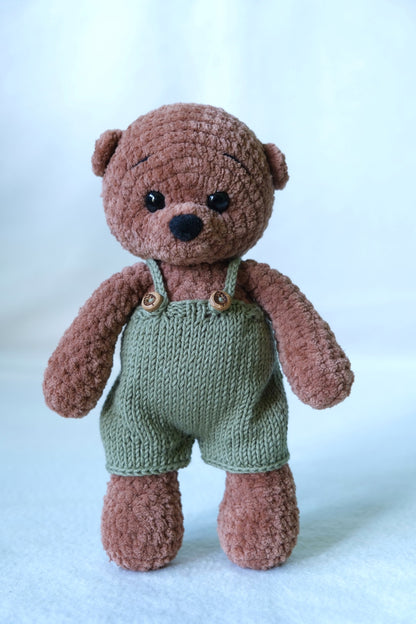 Coco the Teddy bear