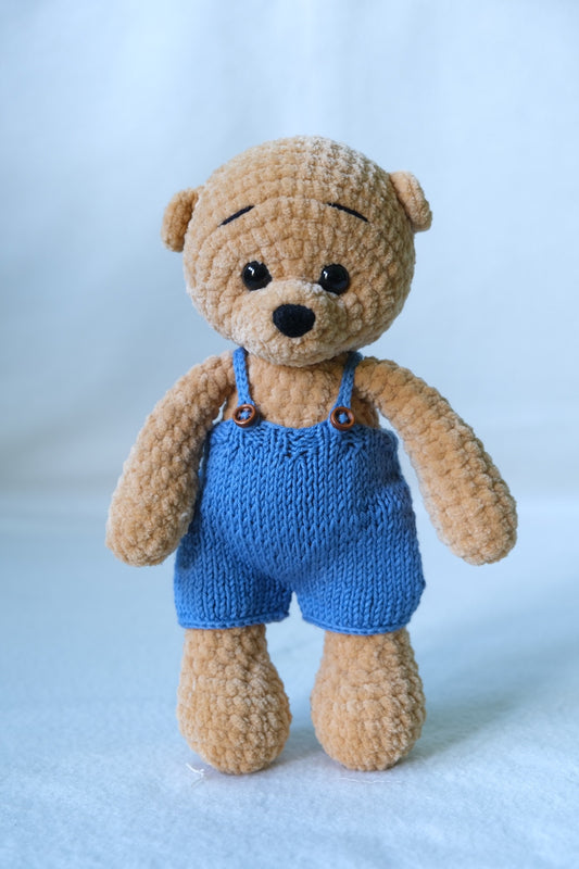 Bailey the Teddy Bear