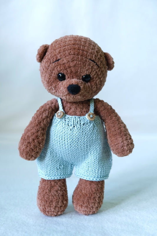 Coco the Teddy bear