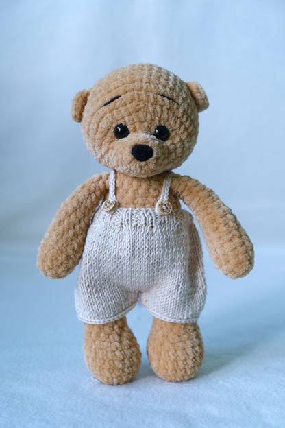 Bailey the Teddy Bear